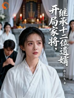 开局家将，继承十二位遗孀贾将柳如云-小说未删减阅读