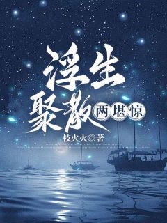好书推荐浮生聚散两堪惊沈星遥陆宴全文在线阅读-二筒文学网