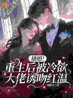 宋挽笙容恕洲全本章节在线阅读大结局