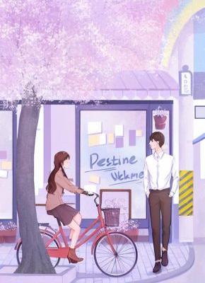 新郎跑了我顶上，洞房夜才知新娘是女霸总林若微李浩-小说txt全文阅读