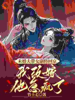 全章节小说未婚夫带女副将回京，我改嫁他急疯了竹十七最新阅读-二筒文学网