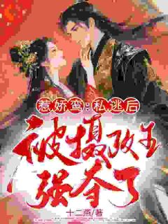 抖音小说甩了落魄狼王后，他叼我回窝主角李鸾魏昭全文小说免费阅读-二筒文学网