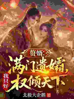 妻子家男儿死绝？还有我这赘婿在！by北极大企鹅小说完结版在线阅读