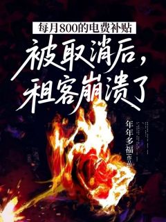 全网首发完整小说每月800的电费补贴被取消后，租客崩溃了主角苏婷婷在线阅读