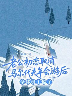 好看的老公初恋取消马尔代夫年会游后，全体员工慌了小说，主角江辰许薇宋烨霖最新章节阅读