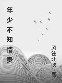 年少不知情贵谢怀屿全章节在线阅读
