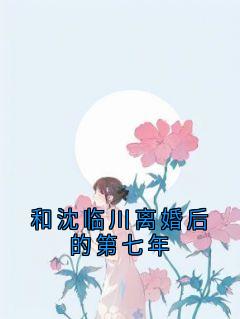 快手和沈临川离婚后的第七年小说全本章节大结局-二筒文学网