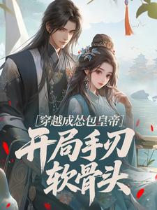 魂穿大宋：崇祯开局怒斩六贼[抖音]小说-宋钦宗岳飞无删减阅读