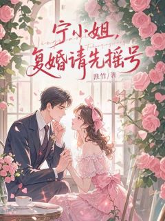 抖音宁小姐，复婚请先摇号小说章节阅读