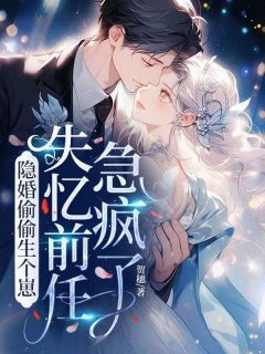 主角是鹿晚商宴珩的小说雾夜春暖最完整版热门连载