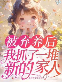 被弃养后，我抓了一堆新的家人是什么小说陆宁宁宋曼吟全本免费阅读-二筒文学网