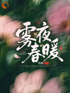 (抖音)雾夜春暖鹿晚商宴珩小说免费全文阅读