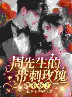 孟朝盈周霁明周先生的带刺玫瑰，哄不好了小说完整版