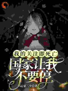 我的关注即死亡，国家让我不要停小说的书名是什么-二筒文学网