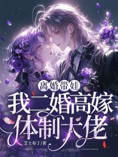 离婚带娃，我二婚高嫁体制大佬乔宁苏宴礼小说全章节最新阅读