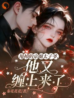 免费试读主角盛棠陆淮之小说