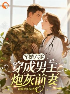 江舸苏铮妍小说开局暴打婆婆，炮灰前妻不好惹全文阅读