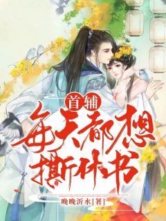 良心推荐首辅每天都想撕休书小说试读