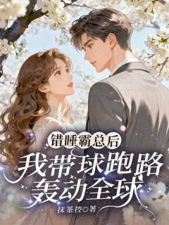 火爆错睡霸总后，我带球跑路轰动全球小说，主角是云微岚秦承弈在线阅读全文无删减