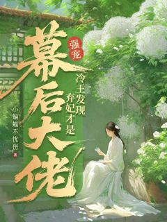 抖音强宠！冷王发现弃妃才是幕后大佬txt小说阅读