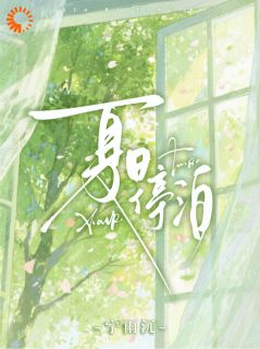 主角林浅池砚的小说作者宁雨沉