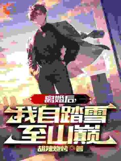 离婚后，我自踏雪至山巅小说_离婚后，我自踏雪至山巅小说结局阅读