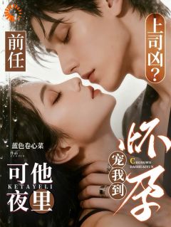 前任上司凶？可他夜里宠我到怀孕完整版-南枳沈胤在线全文阅读