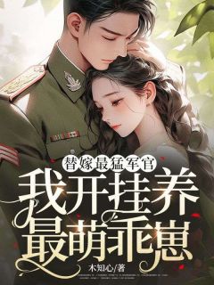 替嫁最猛军官，我开挂养最萌乖崽by木知心小说完结版在线阅读