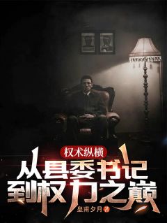 抖音爆款小说权术纵横：从县委书记到权力之巅王洋李春阳免费txt全文阅读