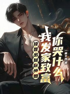 杨峰杨从花全文最新章节正版小说免费阅读