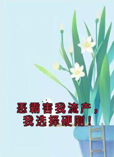 恶霸害我流产，我选择硬刚！章节目录小说-舒愿许瞻远免费阅读全文