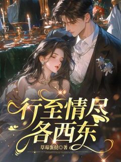 苏念傅宴辞全章节阅读-行至情尽各西东全文分享阅读