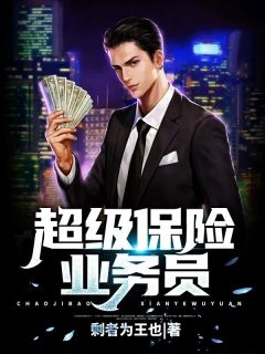 (精品)超级保险业务员小说