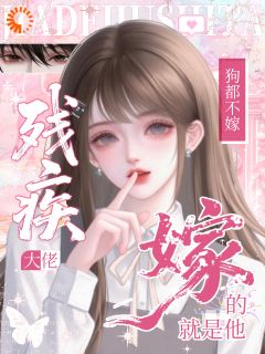 百度贴吧小说残疾大佬狗都不！嫁！嫁的就是他，主角林稚晏清全文免费