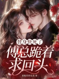抖音爆款替身快死了，傅总跪着求回头完整小说（全文阅读）
