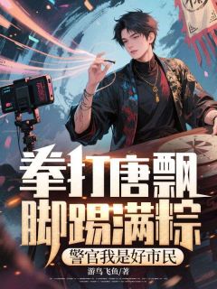 拳打唐飘脚踢满粽，警官我是好市民小说免费阅读 许经天沈建国大结局完整版-二筒文学网