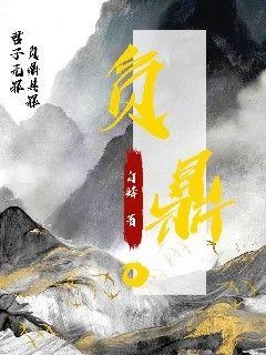 良心推荐负鼎小说试读