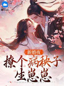 精选好书新婚夜，撩个病秧子生崽崽无删减版全文在线