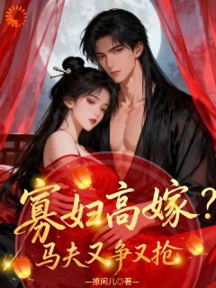 抖音爆款寡妇高嫁？马夫又争又抢小说免费阅读-二筒文学网