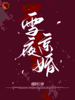 作者迷阳写的雪夜京婚小说大结局全章节阅读