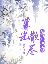 暮光散尽，爱溺亡而无憾南巡时宋安免费全章节目录阅读