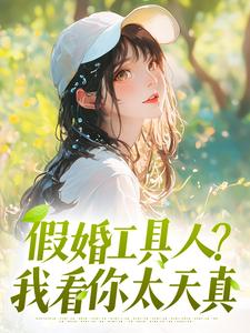 苏婉裴易完整未删减版在线阅读 苏婉裴易结局