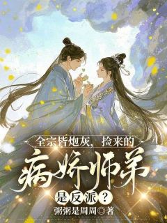 全宗皆炮灰，捡来的病娇师弟是反派？未删减阅读