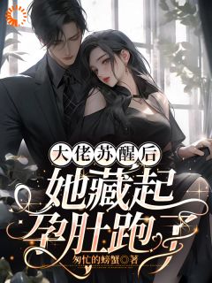 主角是楚忆萧铖渊的小说大佬苏醒后，她藏起孕肚跑了最完整版热门连载