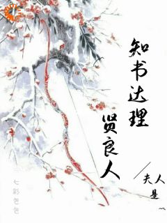 夫人是知书达理贤良人(陆青萝梁霄)全文完整版阅读