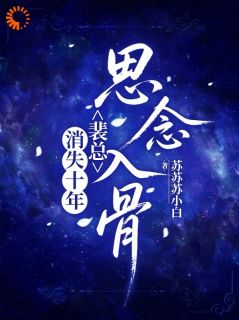 消失十年，裴总思念入骨全本小说（消失十年，裴总思念入骨）全文阅读-二筒文学网