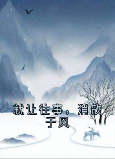 就让往事，消散于风小说齐婉言陆远舟免费阅读