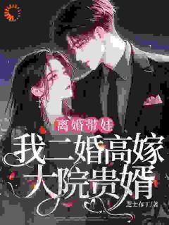 离婚带娃，我二婚高嫁大院贵婿小说(完结)-乔宁苏宴礼章节阅读-二筒文学网