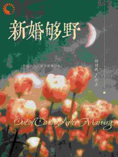 【新书】新婚够野主角楼藏月谢沉青全文全章节小说阅读