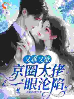 抖音小说又乖又欲，京圈大佬一眼沦陷主角温书意徐鹤年全文小说免费阅读